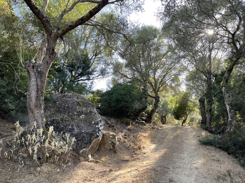 2 Cuarto Casa de Campo en venta